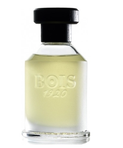 Bois 1920 Youth Rosa 23