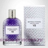 Bottega Veneta Parco Palladiano VII