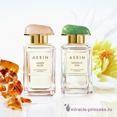 Aerin Lauder Amber Musk 22