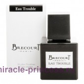 Brecourt Eau Trouble