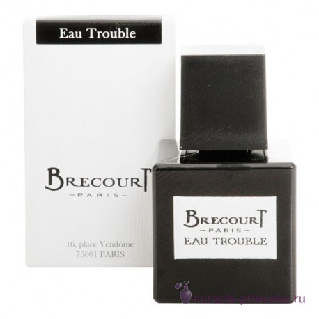 Brecourt Eau Trouble 22