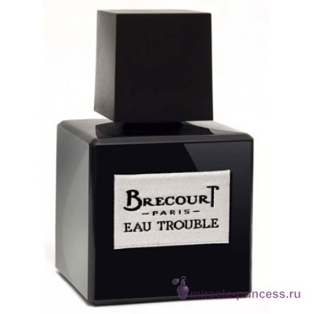 Brecourt Eau Trouble 11