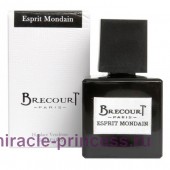 Brecourt Esprit Mondain