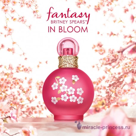 Britney Spears Fantasy in Bloom 22