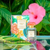 Aerin Lauder Hibiscus Palm