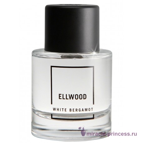 Abercrombie & Fitch Ellwood White Bergamot 11