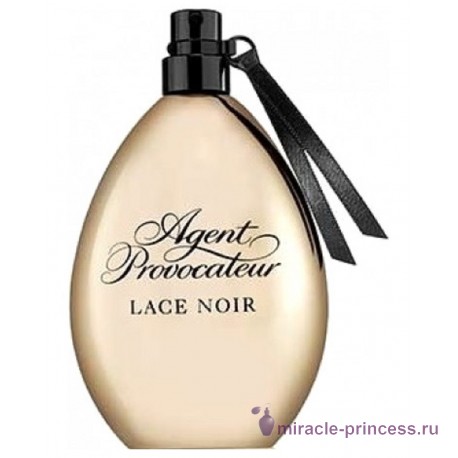 Agent Provocateur Lace Noir 11