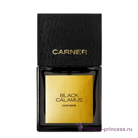 Carner Barcelona Black Calamus 11