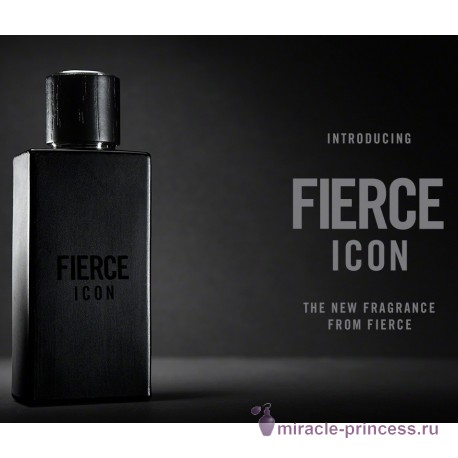 Abercrombie & Fitch Fierce Icon 22