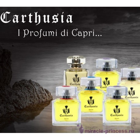 Carthusia Io Capri 22