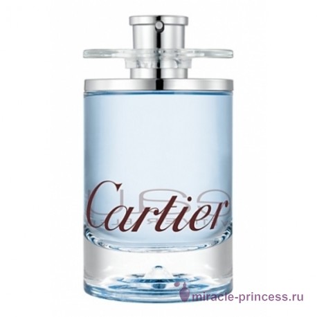 Cartier Eau de Cartier Vetiver Bleu 22