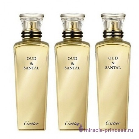 Cartier Oud & Santal 22