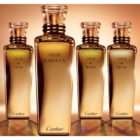 Cartier Oud Radieux 22