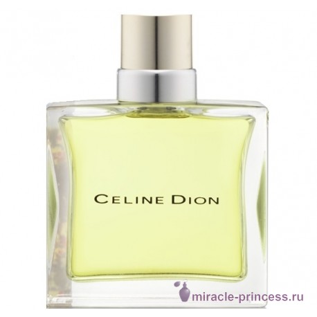 Celine Dion Spring in Provence 11