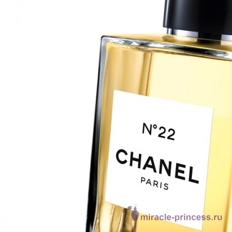 Chanel Chanel №22 22