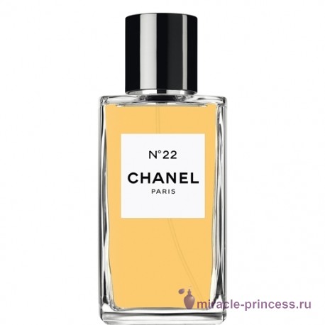 Chanel Chanel №22 11