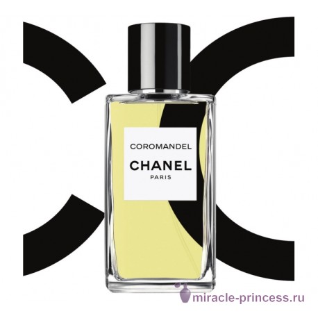 Chanel Coromandel 22