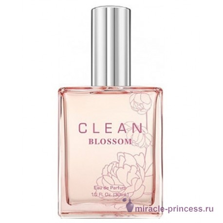 Clean Clean Blossom 11