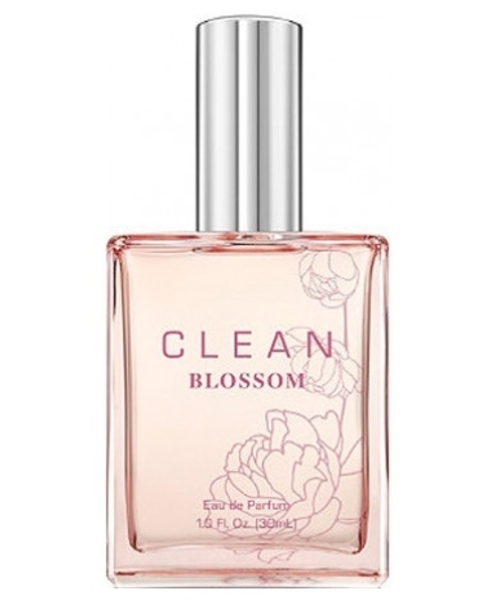 Clean Clean Blossom