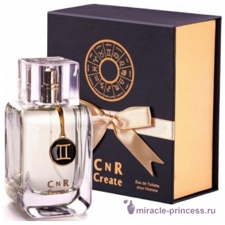 CnR Create Gemini for Men 22