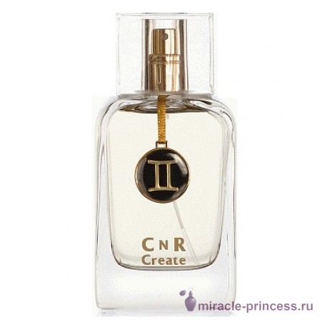 CnR Create Gemini for Men 11