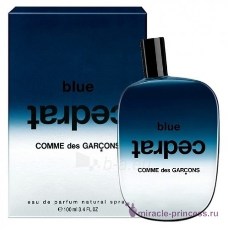 Comme Des Garcons Blue Cedrat 22