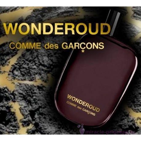 Comme Des Garcons Wonderoud 22