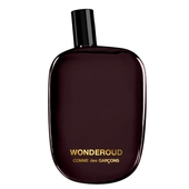 Comme Des Garcons Wonderoud