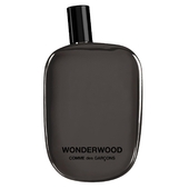 Comme Des Garcons Wonderwood