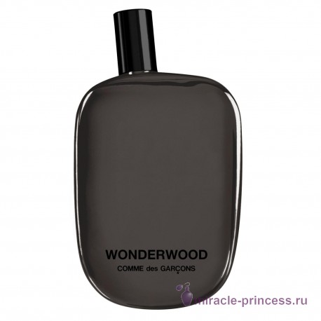 Comme Des Garcons Wonderwood 11