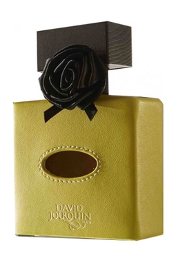 David Jourquin Cuir Solaire