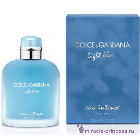 Dolce & Gabbana Light Blue Eau Intense Pour Homme 22