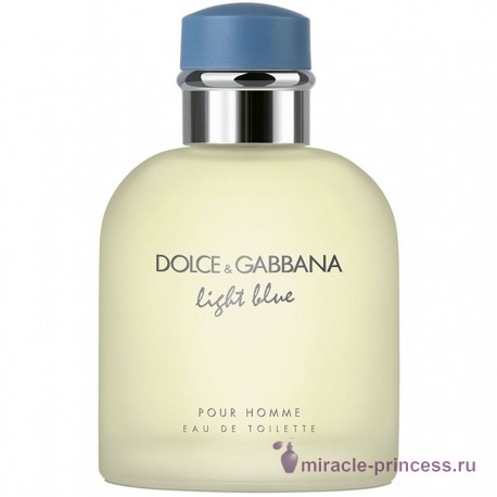 Dolce & Gabbana Light Blue Pour Homme 11