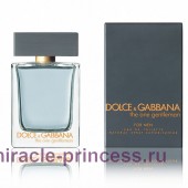 Dolce & Gabbana The One Gentleman