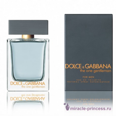 Dolce & Gabbana The One Gentleman 22