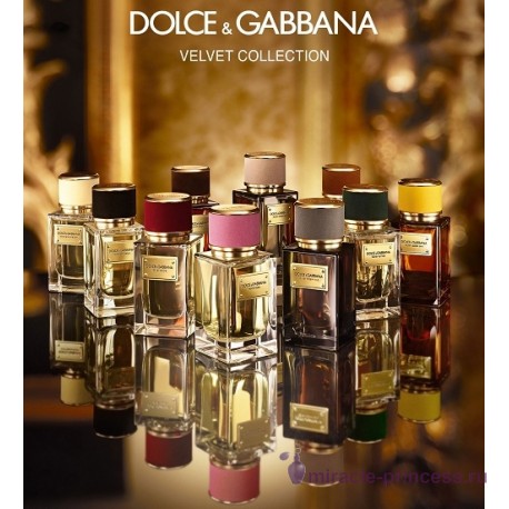 Dolce & Gabbana Velvet Amber Sun 22