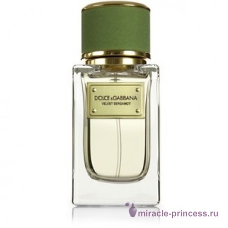 Dolce & Gabbana Velvet Bergamot 22