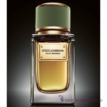 Dolce & Gabbana Velvet Bergamot 22