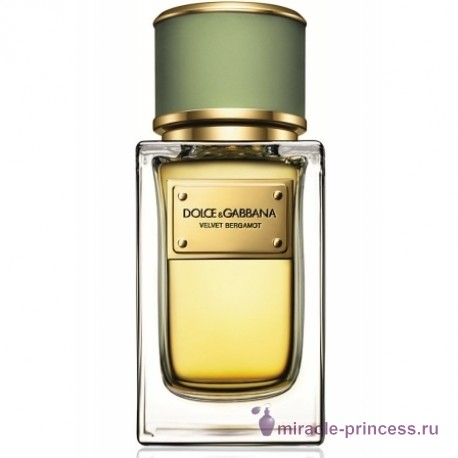 Dolce & Gabbana Velvet Bergamot 11