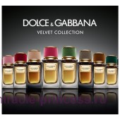 Dolce & Gabbana Velvet Cypress