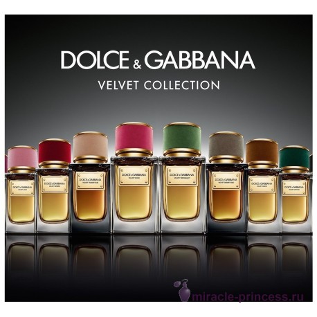 Dolce & Gabbana Velvet Cypress 22