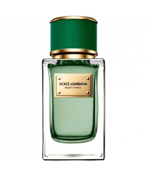 Dolce & Gabbana Velvet Cypress