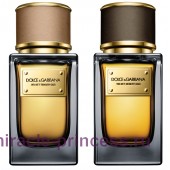 Dolce & Gabbana Velvet Desert Oud