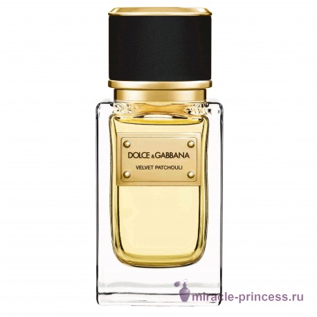 Dolce & Gabbana Velvet Patchouli 22