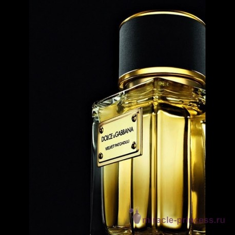 Dolce & Gabbana Velvet Patchouli 22