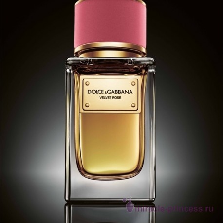 Dolce & Gabbana Velvet Rose 22