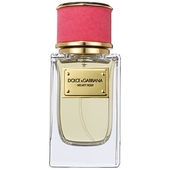 Dolce & Gabbana Velvet Rose