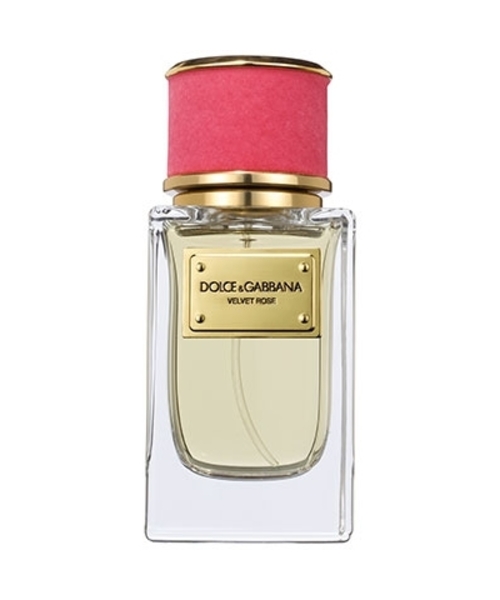 Dolce & Gabbana Velvet Rose