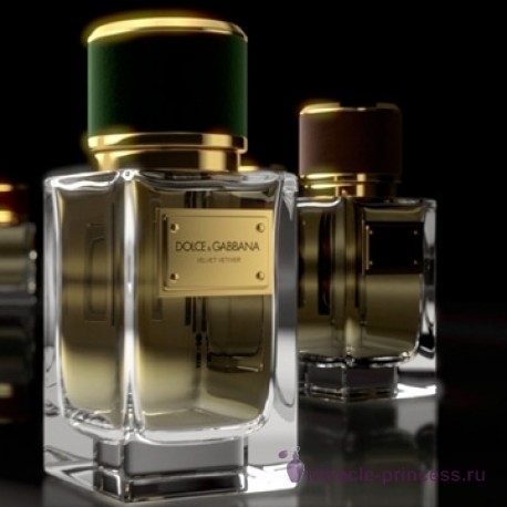 Dolce & Gabbana Velvet Vetiver 22