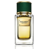 Dolce & Gabbana Velvet Vetiver